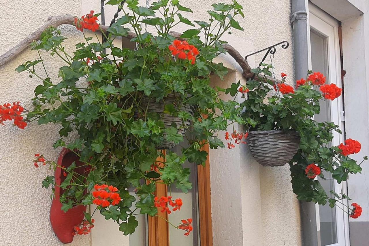 Bed and Breakfast Golden Lion Бульон Экстерьер фото